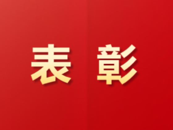 祝賀！這些青年集體和個人榮獲中國物流表彰！